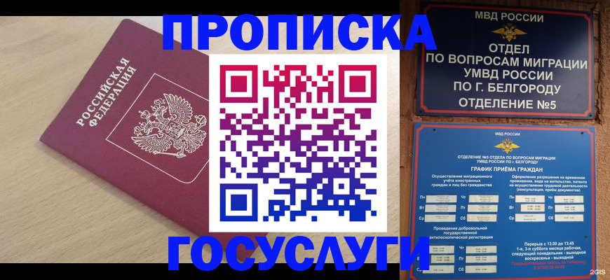 прописка законно в Вельске